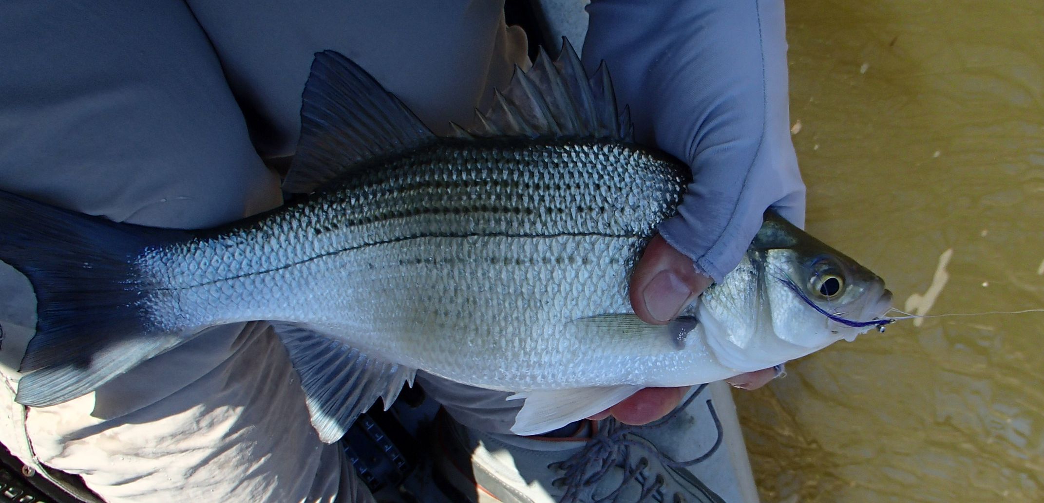 Harmon Creek March 11-13 Trip Report