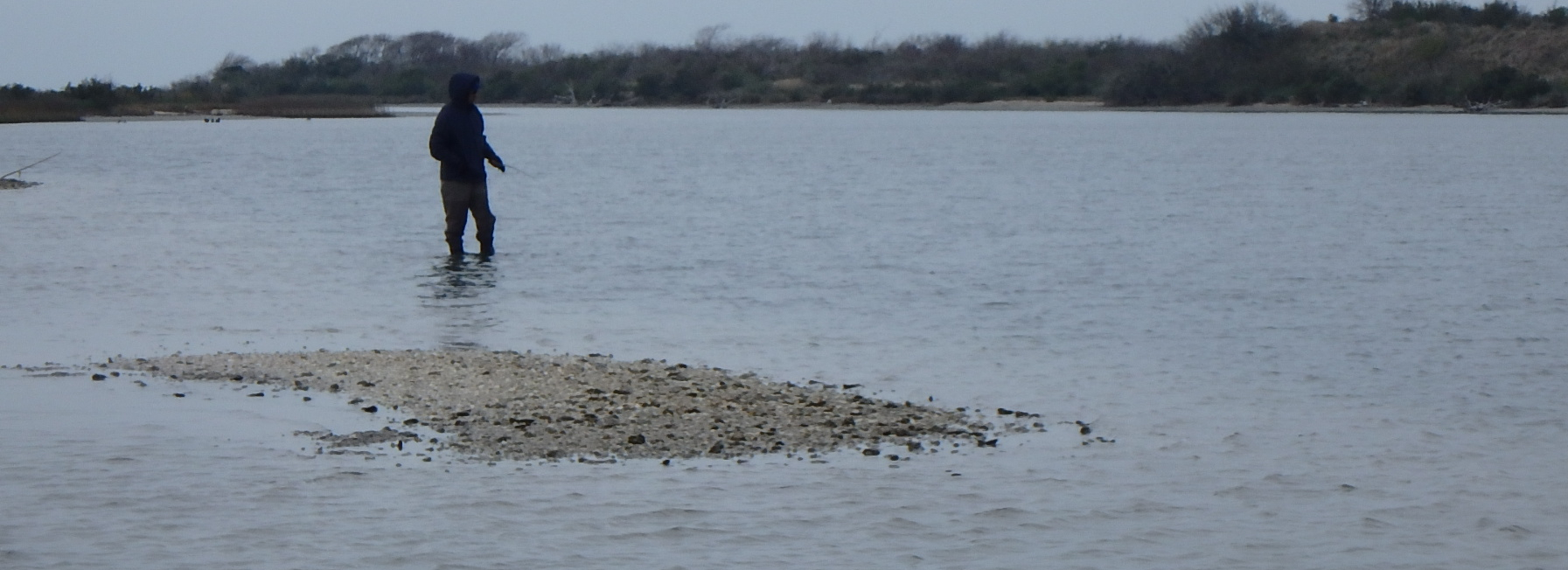 Shoalwater Bay, April 10, 2021, (Seadrift)