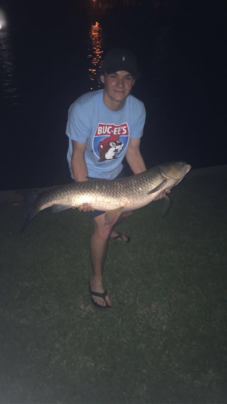 Spence McNamara; Some Late Night Fun