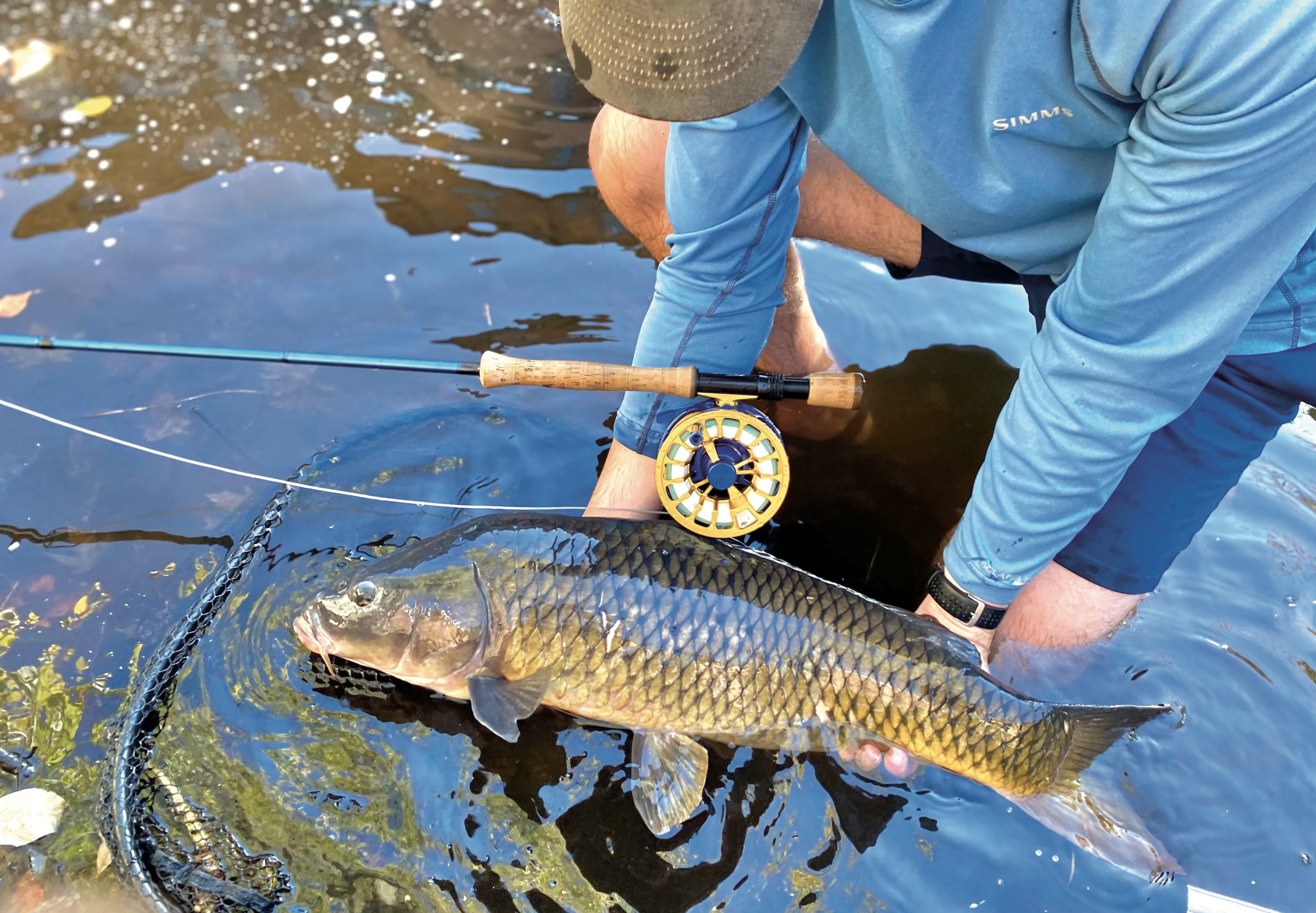 A trade? Boat for some carping knowledge